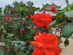 -宝墨园景区