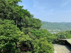 -海南槟榔谷黎苗文化旅游区