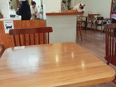 -有猫主题·治愈系猫咖(曾厝垵店)
