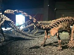 -世界恐龙谷景区