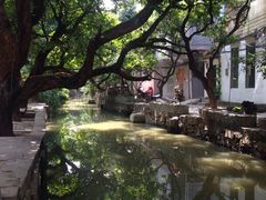 -小洲村