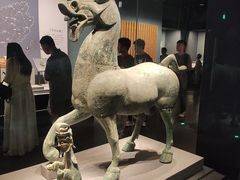 -广西壮族自治区博物馆