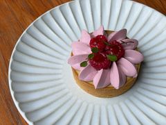 -猫里有甜