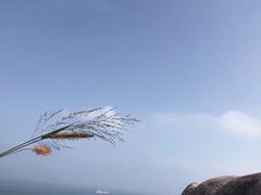 -南丫岛