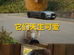-SFC上影影城(港汇永华IMAX激光店)