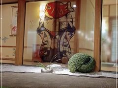 -汤泉良子(金源店)