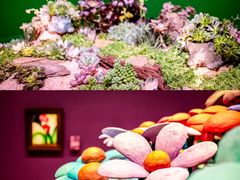 -德基艺术博物馆