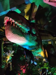 -恐龙探索乐园(磁器口店)