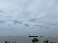 -上海滨江森林公园