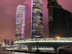 -演武大桥观景平台