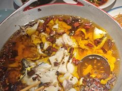 -蜀龙阁· 龍头水煮鱼(天坛店)