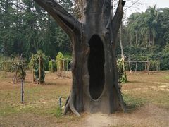 -华南国家植物园-售票处