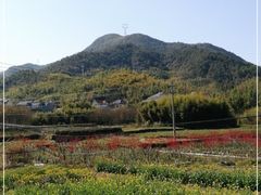 -莫干山风景区