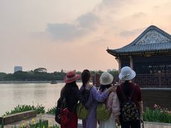 -顺峰山公园