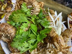-人和啤酒屋海鲜大排档(营口路店)