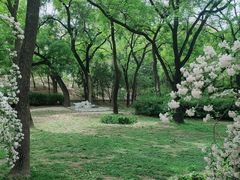 -元大都城垣遗址公园