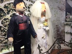 -济州岛泰迪熊博物馆