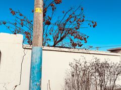 -辛庄国际文化艺术区