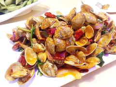 辣炒花蛤-常记蚝味鲜·烧烤海鲜大排档(东风北桥店)