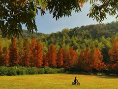 -南山风景名胜区