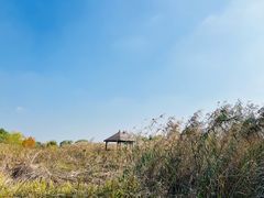 -梁鸿国家湿地公园