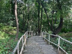 -香炉山国家森林公园