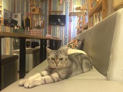 -小时光咖啡馆(开森度假森林店)