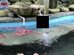 -宁海森林温泉