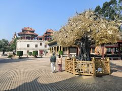 -广东圆玄道观