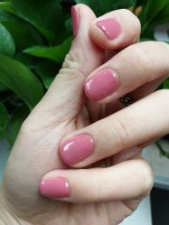 -Seven Nail七姑娘の美甲店