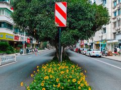 -狮虎桥路