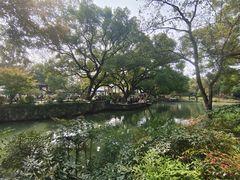 -西溪国家湿地公园