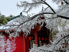 -岳阳楼景区
