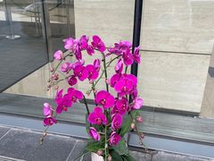 -双季花艺园艺市场(浦东店)