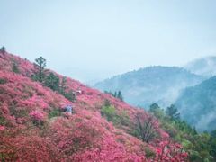 -木兰云雾山