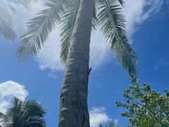 -白沙门生态公园