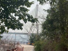 -大渡口区义渡公园