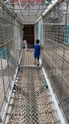 -季高兔窝窝亲子园(上海薰衣草公园店)