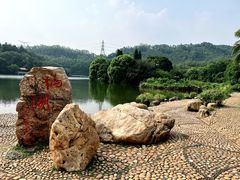 -深圳仙湖植物园