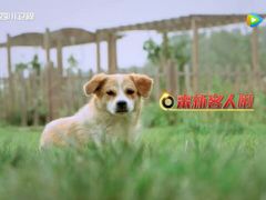 -月河湾马术俱乐部(朝阳店)