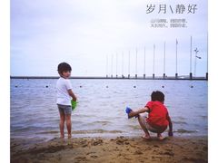 -碧海金沙