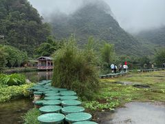 -靖西鹅泉风景区