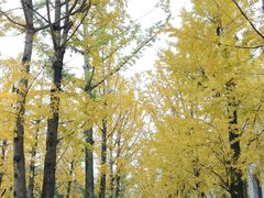-百林公园-两江幸福广场