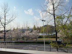 -宝荣鱼馆·临湖之宴(千岛湖店)