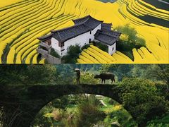 -婺源风景区