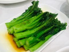 -鹅城