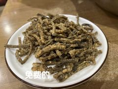 炸鳝骨-临江后街鳝丝(临江店)