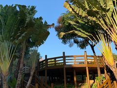 -深圳国际园林花卉博览园