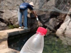 -崂山巨峰游览区