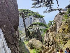 -黄山风景区